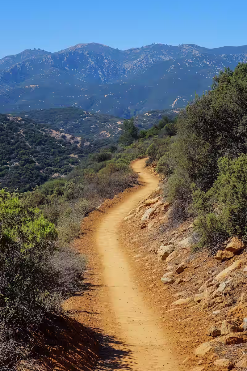 Winding dirt trail through lush green shrubs