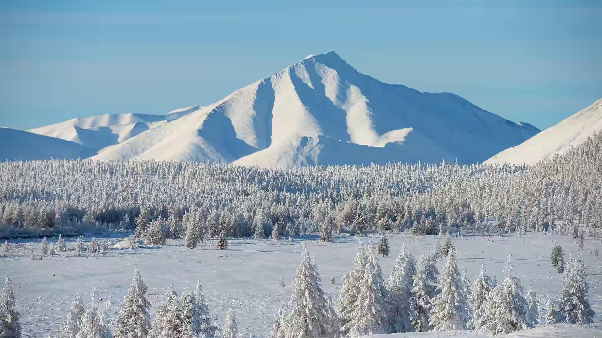 Siberia Makes Silence Feel Dangerous