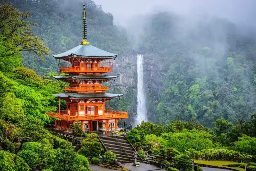 Walking the Forest Paths of Kumano Kodo